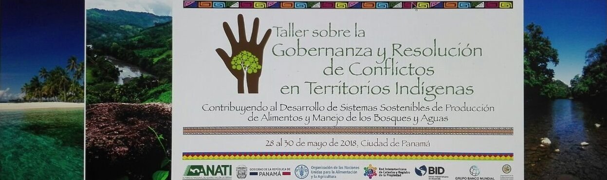 gobernanza5